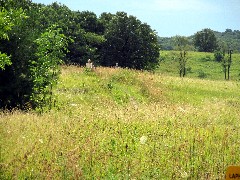 Judy Geisler; Dan Dorrough; IAT; Lapham Peak Segment, WI